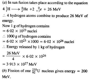 एनसीईआरटी समाधान कक्षा 12 भौतिकी अध्याय 13 नाभिक 61